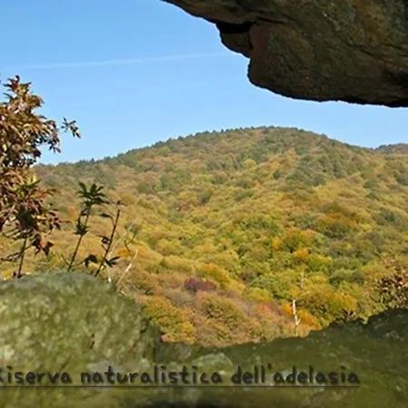 Natura E *